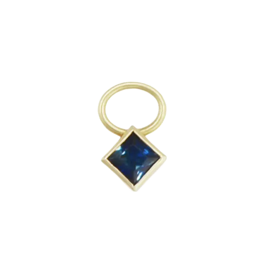 Serena Hoop Charm