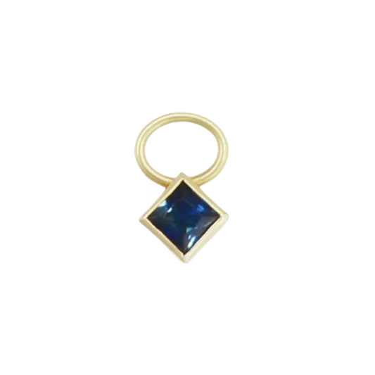Serena Hoop Charm